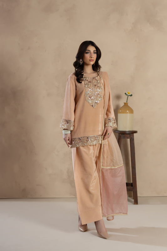 Riwa- 3 PC Stitched Festive Pret