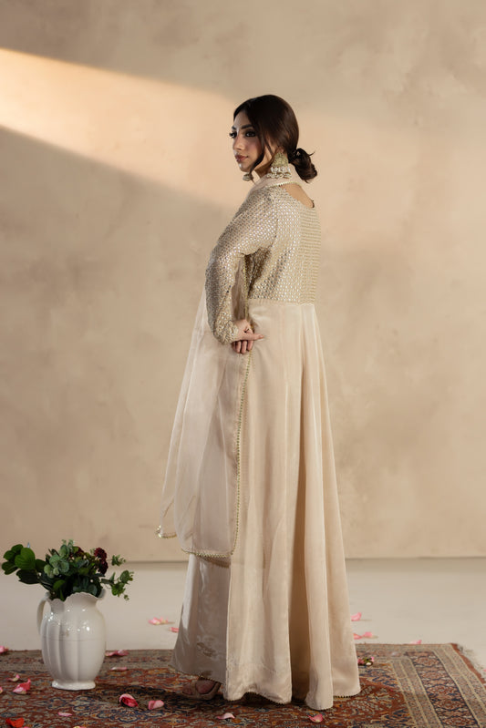 Zavia-3 PC Stitched Festive Pret