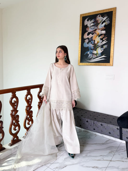 Elyra-3 PC Stitched Festive Pret